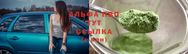 соль ск Богданович