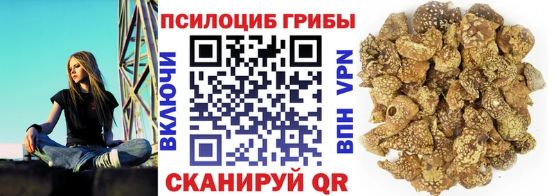 ссылка на мегу   Дигора  Псилоцибиновые грибы мухоморы 
